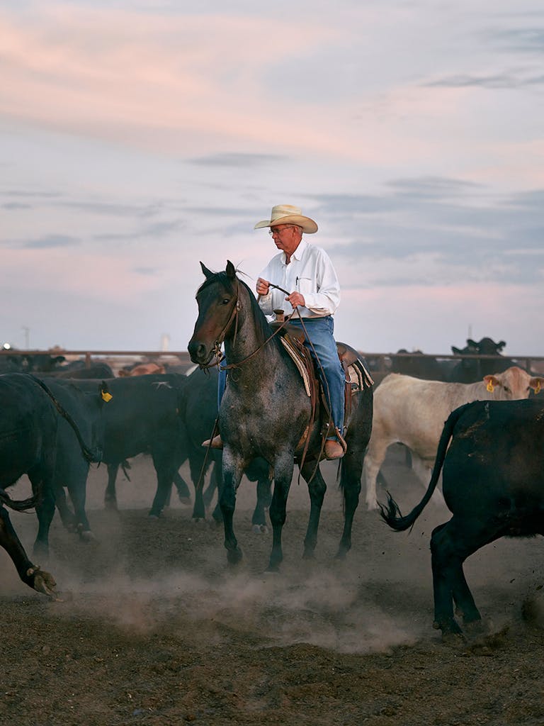 Billie Paul Preston managing the cattle at Cactus Feeders’ Wrangler Feedyard in Tulia, near Amarillo, on July 25, 2020.
