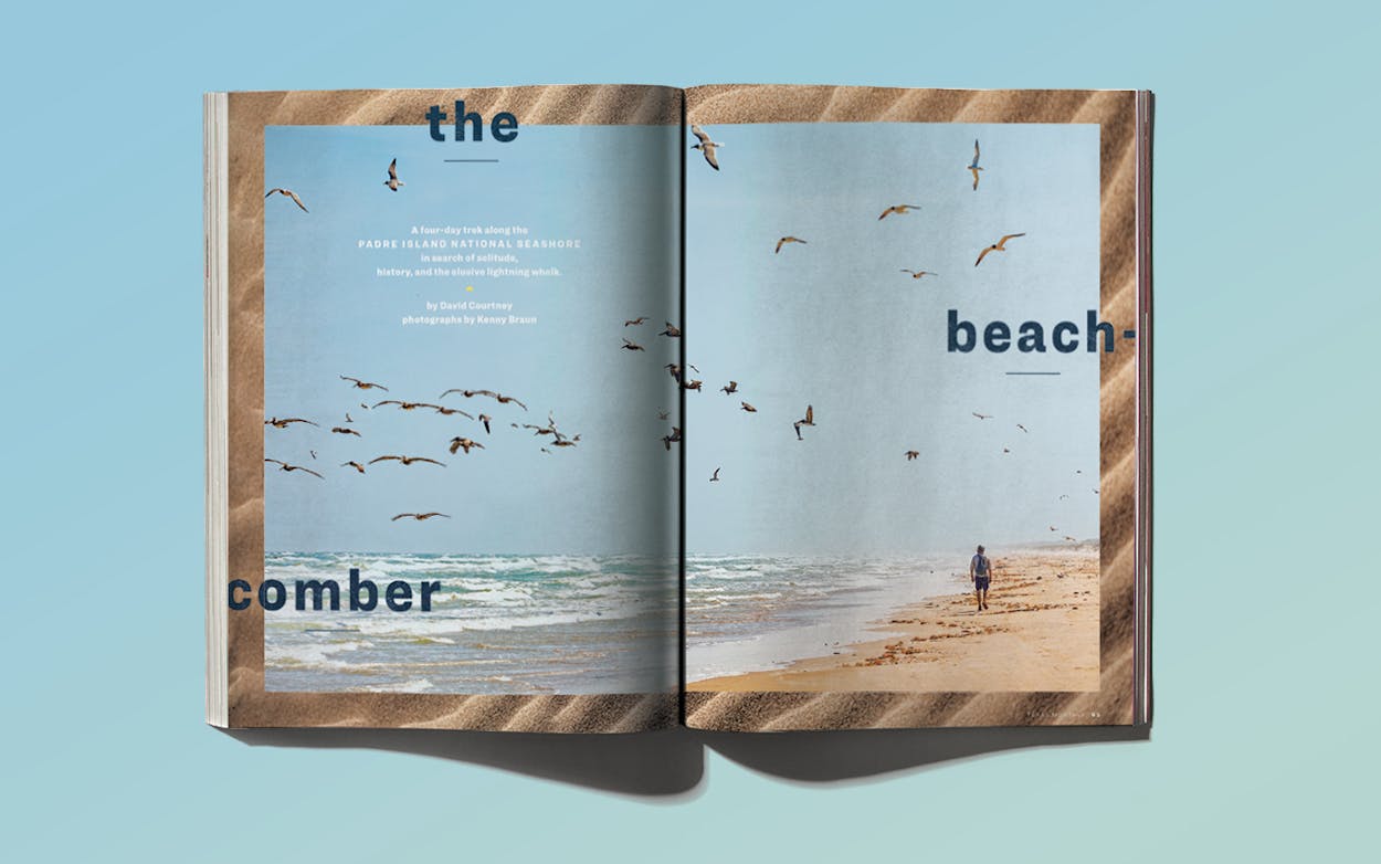 “The Beachcomber,” August 2020.