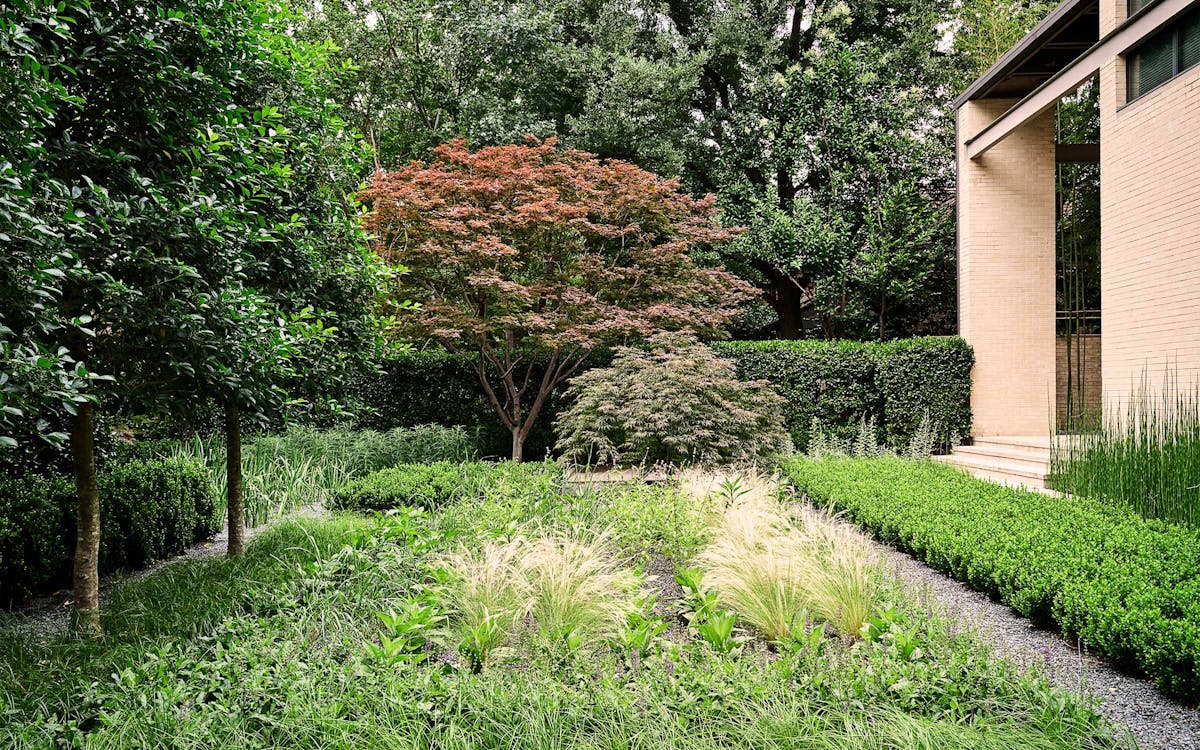 Nine Fall Gardening Tips From a Texas Landscape Architect – Texas Monthly