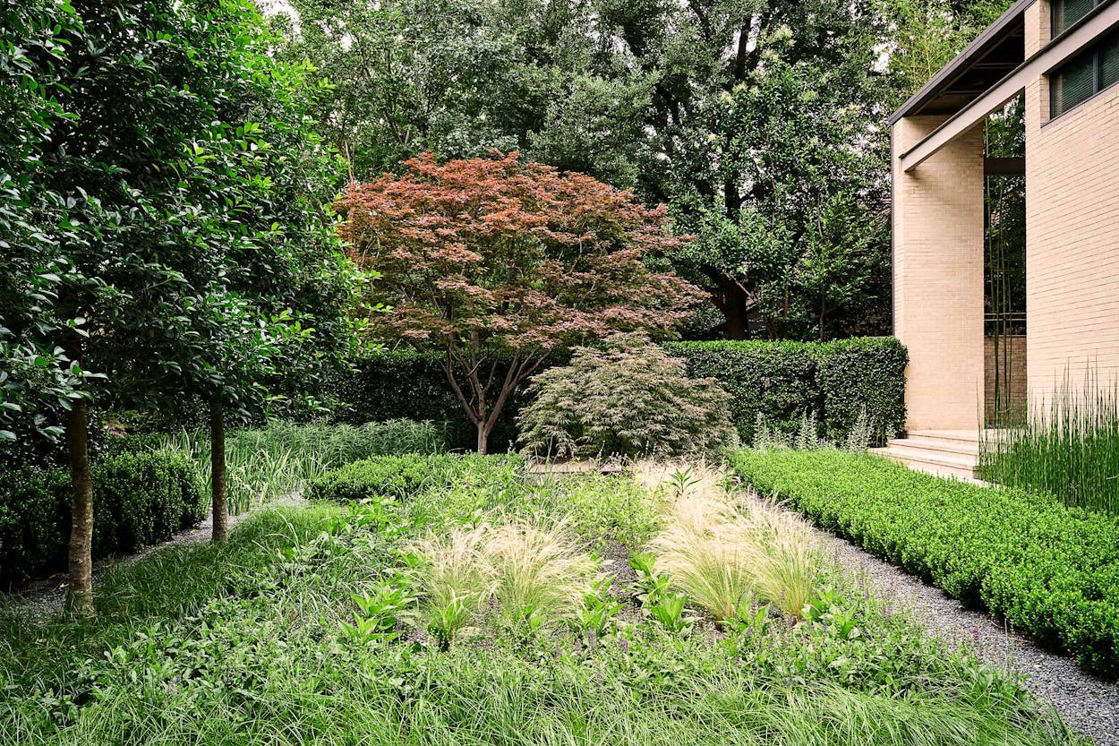 Nine Fall Gardening Tips From A Texas Landscape Architect Texas Monthly