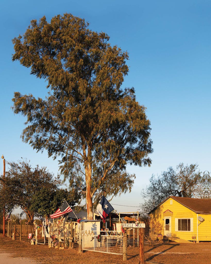 The tree and Garcia’s house.
