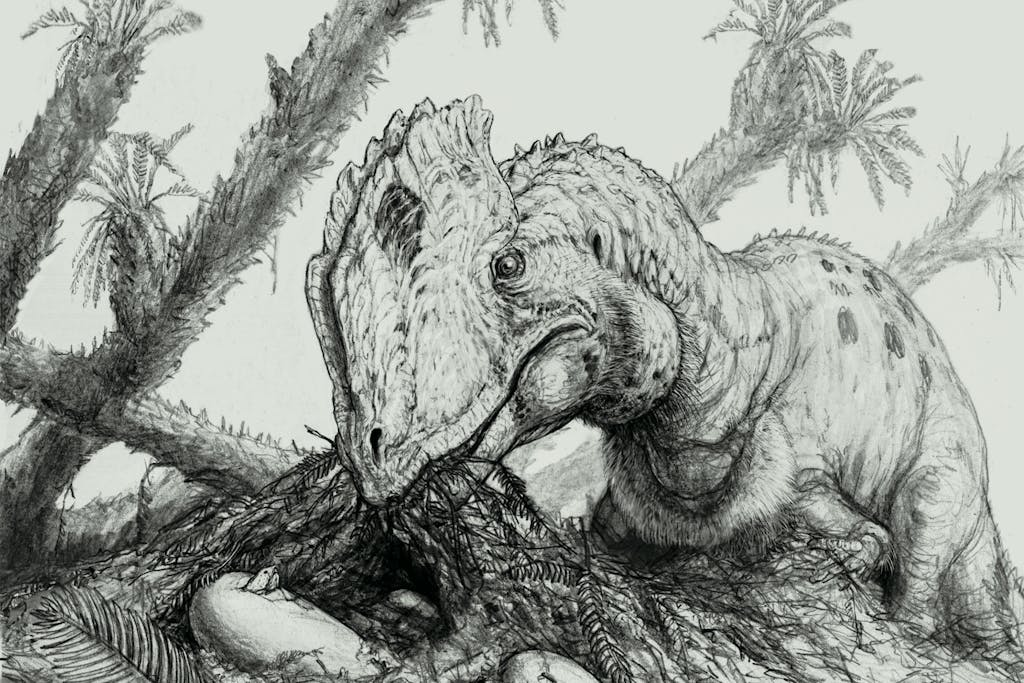 brian-engh’s-speculative-portrait-dilophosaurus