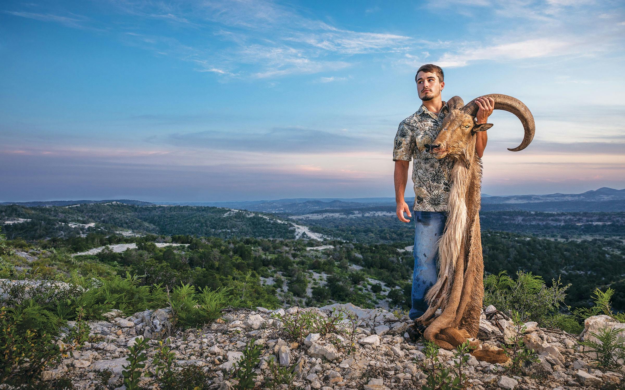 Exotic hunting Texas: guide Dylan Sivells holds an aoudad head and pelt at the Ox Ranch.