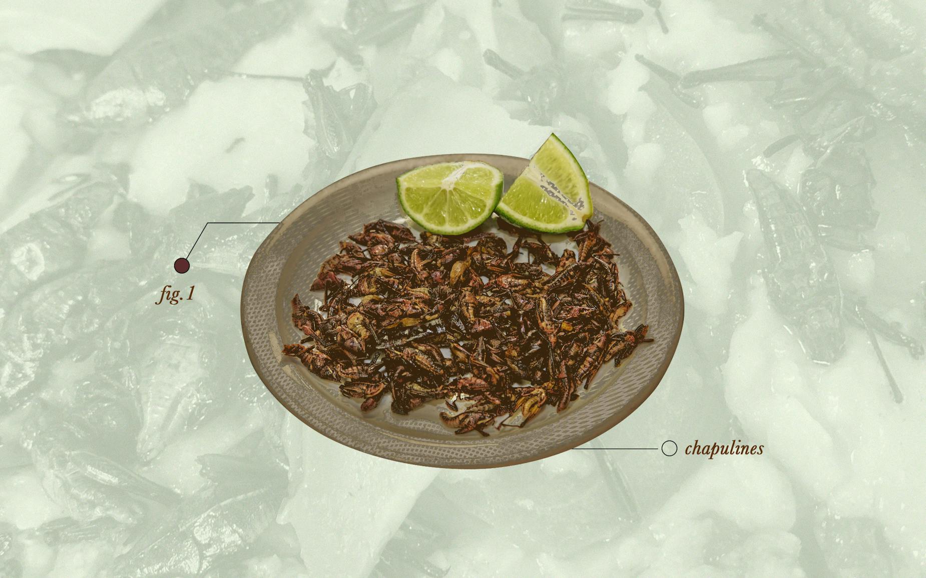 Live a Little and Try Crunching on Chapulines, or Roasted Grasshoppers