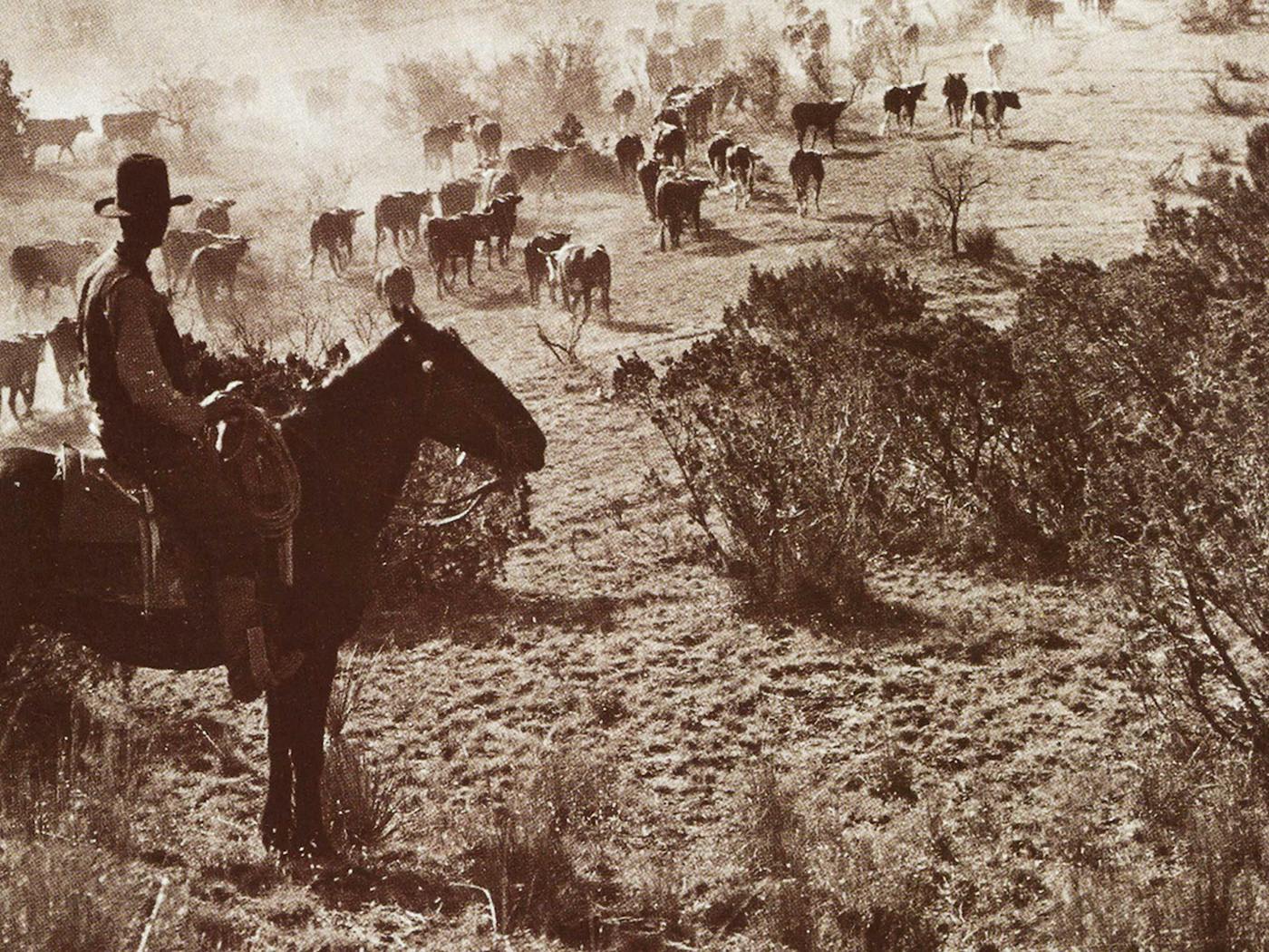 Old Cattle Ranches Cattle Ranching 1800s