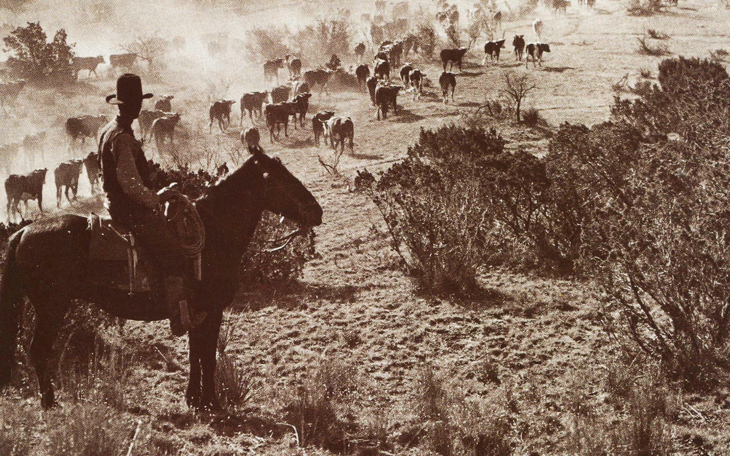 1840 Ranches Ranchers 1800s