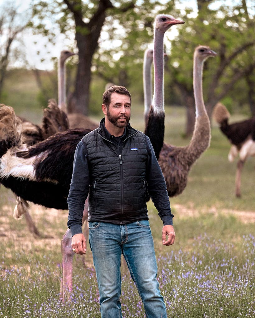 Boyd Clark with the herd at Clark Ostrich Farm in April 2021.