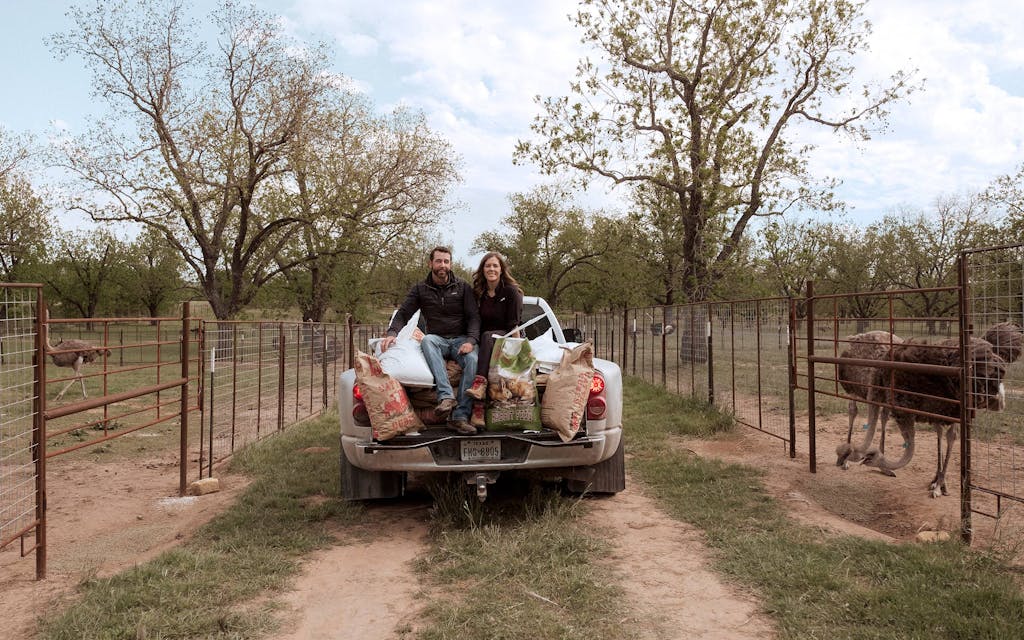 Boyd Clark and his fiancée, Brandi, make the rounds feeding the ostriches.