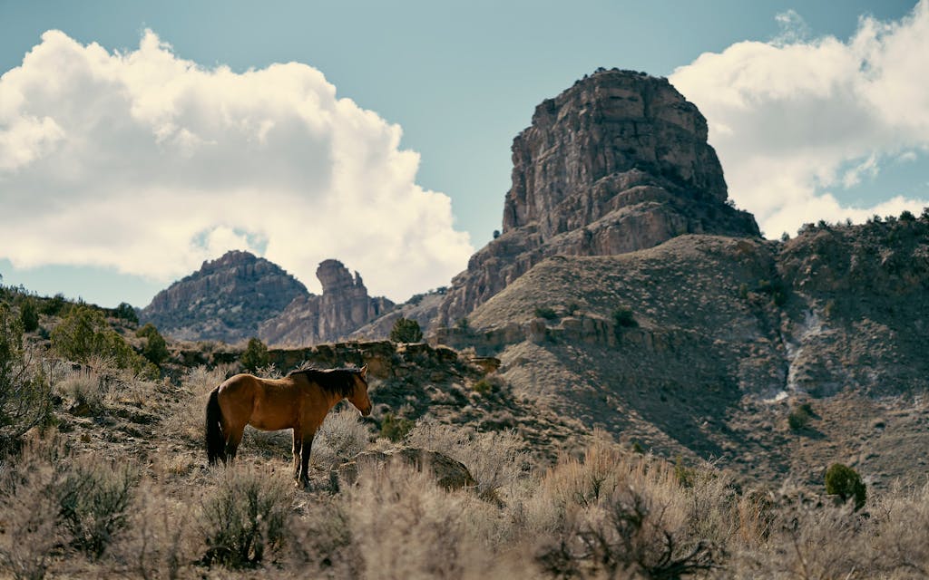 The Little Book Cliffs Wild Horse Range, near Grand Junction.