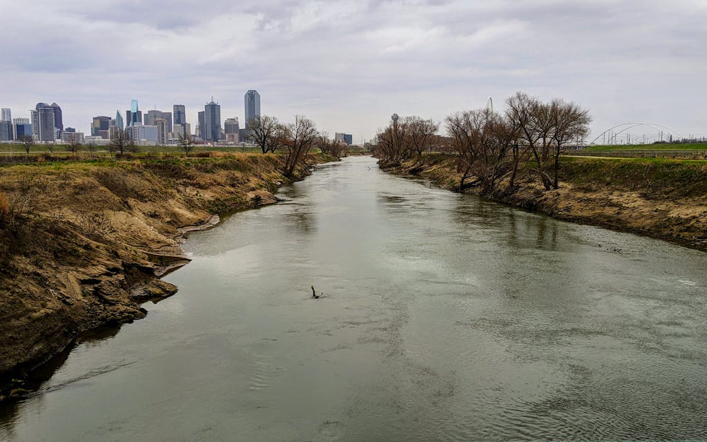 View from the middle of the Trinity River. 