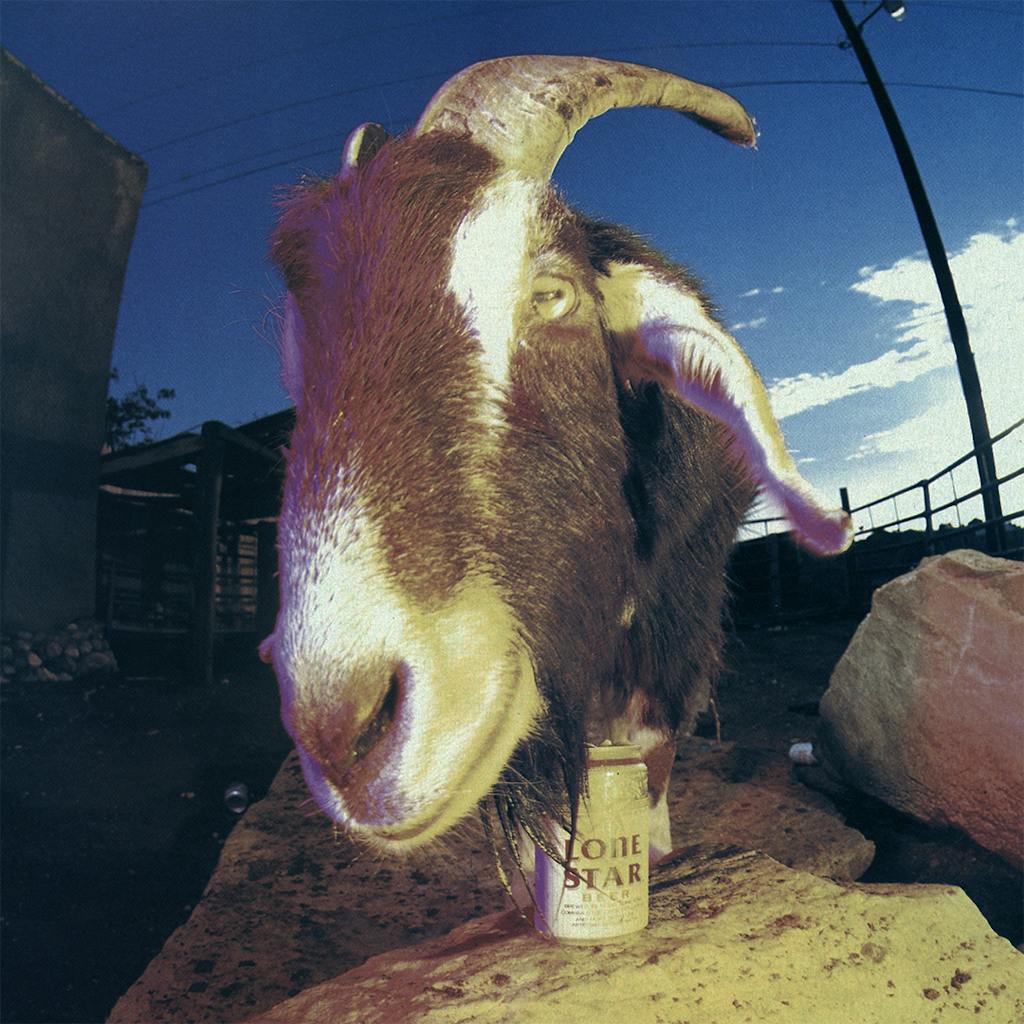 Animal Attractions Clay Henry Billy Goat