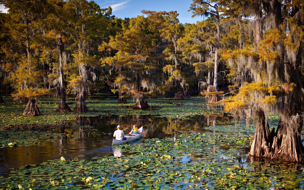 Best spots to paddle in Texas, canoeing at Caddo Lake