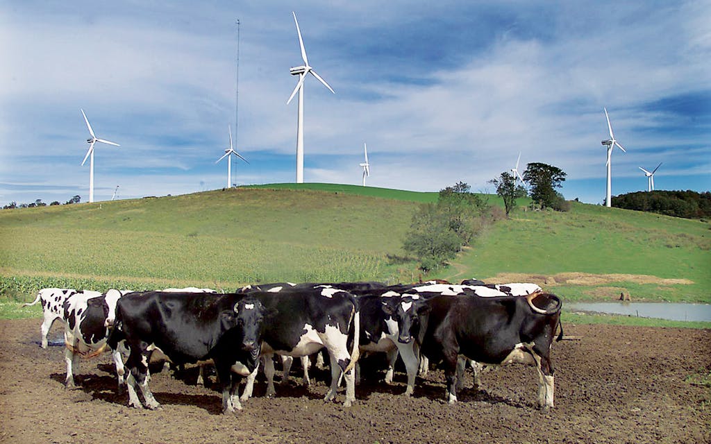 Enron Wind Farms