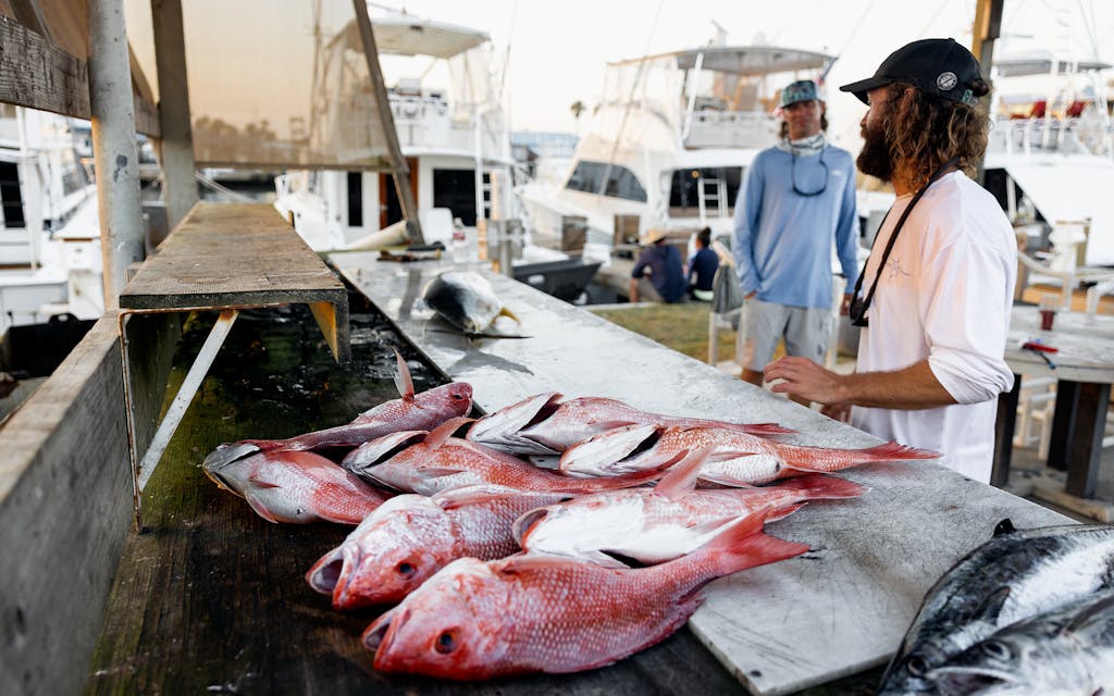 Red Snapper caught on a charter led by Captain Michael Walker in South Padre Island on June 8, 2021.