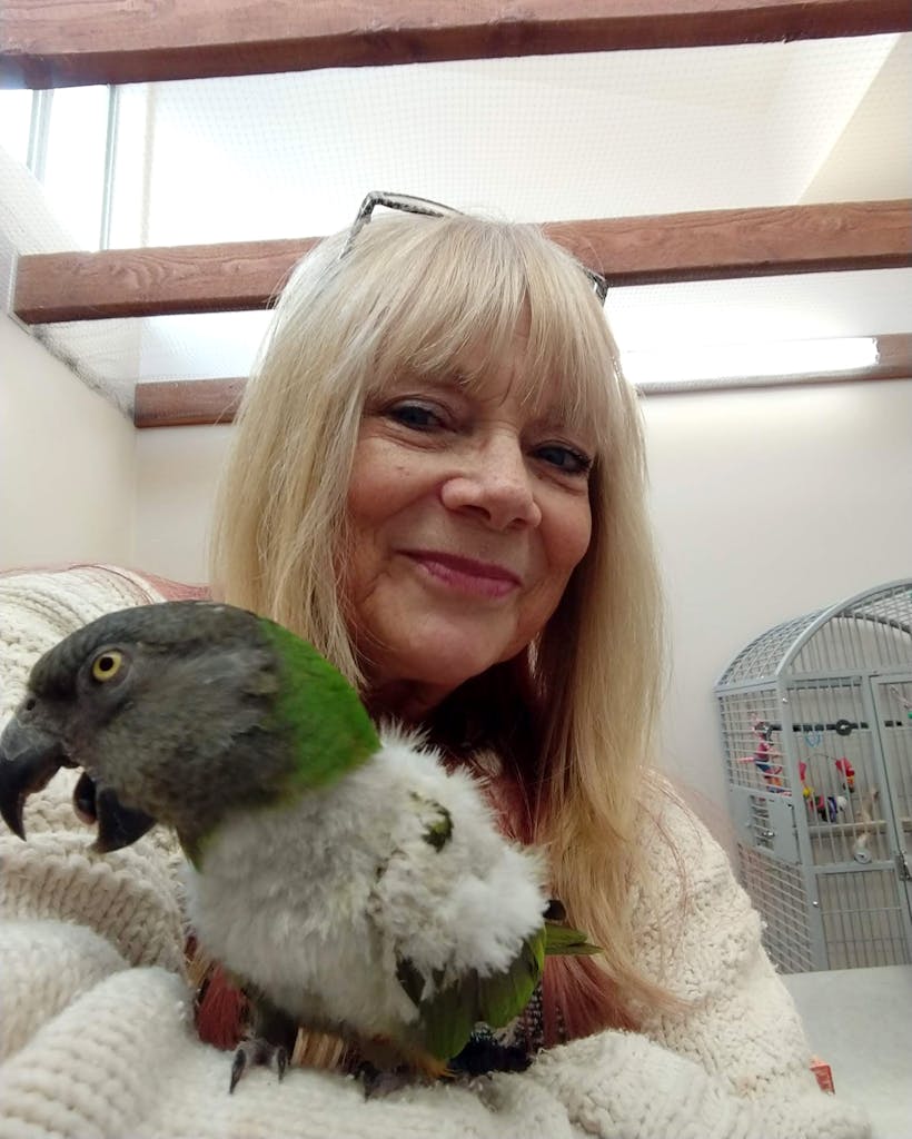 Tami Barber with one of the parrots that she rescues.