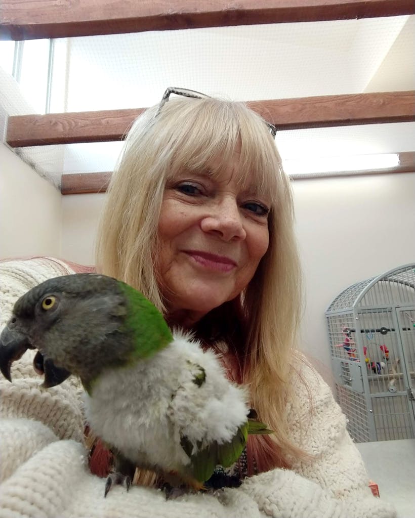 Retired Dallas Cowboys cheerleader Tami Barber today with her parrot. 