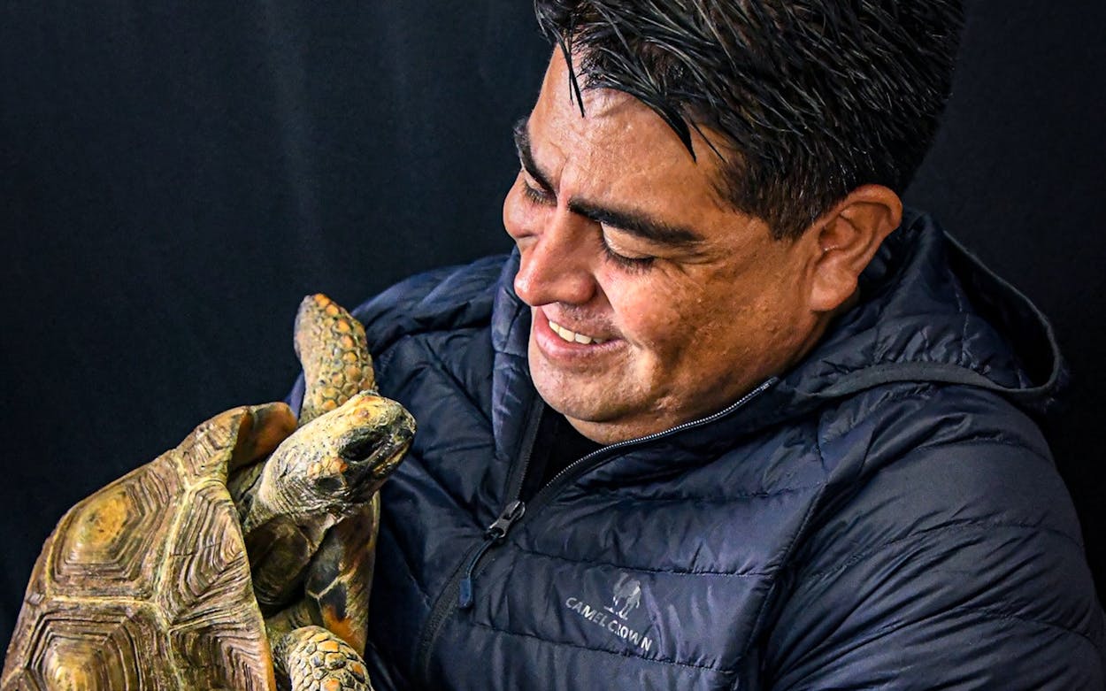 Missing tortoise comes home Daniel Guerrero