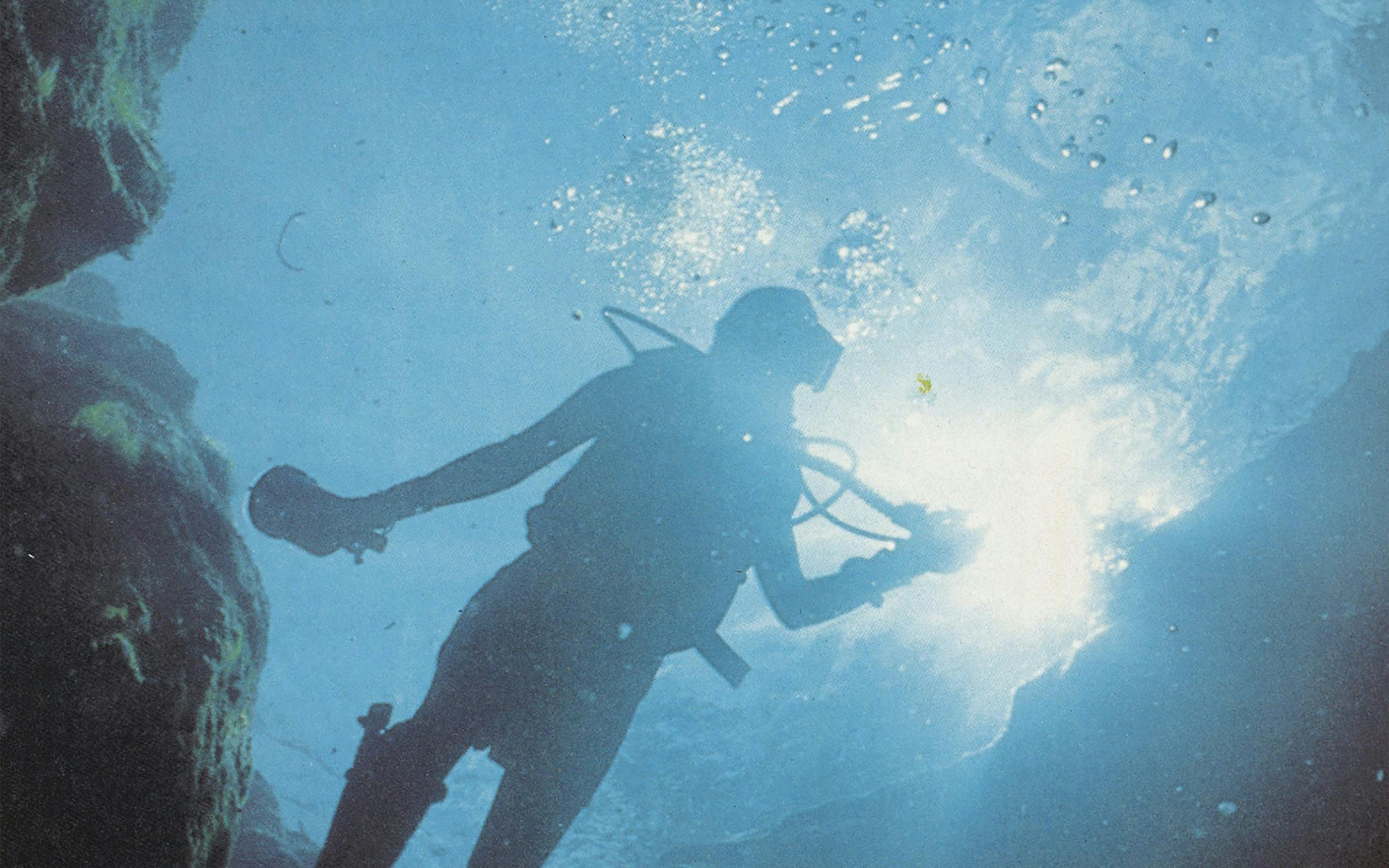 U. S. Navy Divers Plaque, Deep Sea Diving Decor