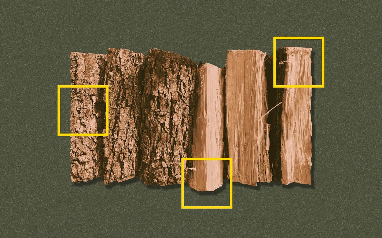 https://img.texasmonthly.com/2022/01/pecan-bark-featured.jpg?auto=compress&crop=faces&fit=fit&fm=jpg&h=0&ixlib=php-3.3.1&q=45&w=1250