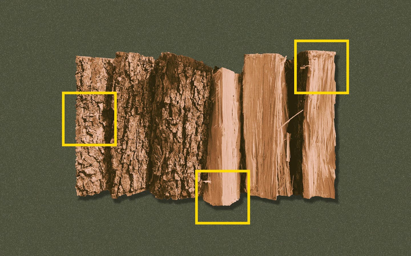 5 Best Kinds Of Wood For Smoking Brisket