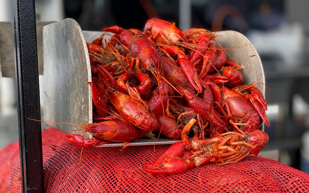 How to Throw a Texas-Style Crawfish Boil