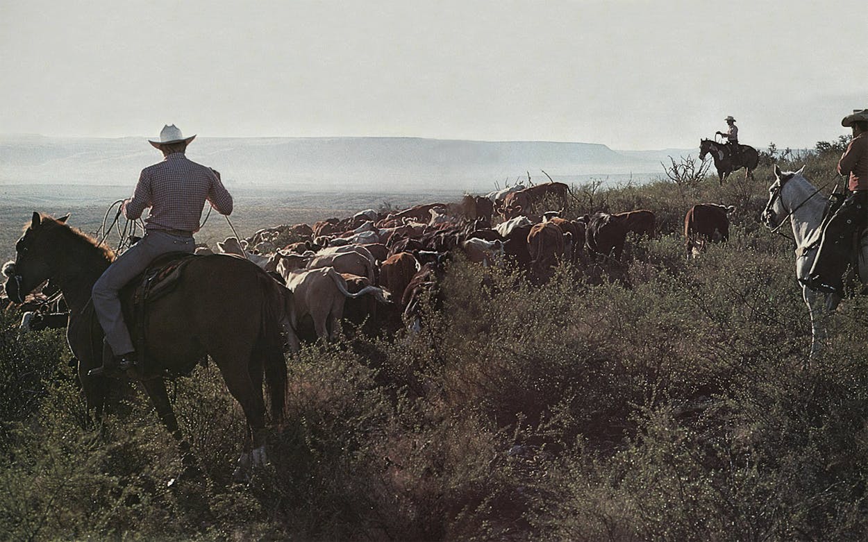 1250px x 781px - The Last Frontier â€“ Texas Monthly