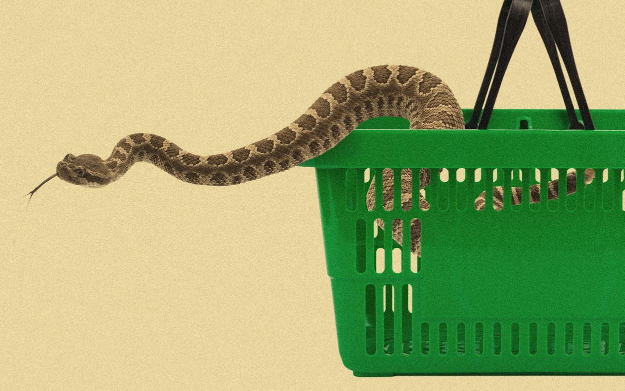 Snake. Shop It’s Easy to Buy a Snake in Texas. Maybe Too Easy. – Texas Monthly
