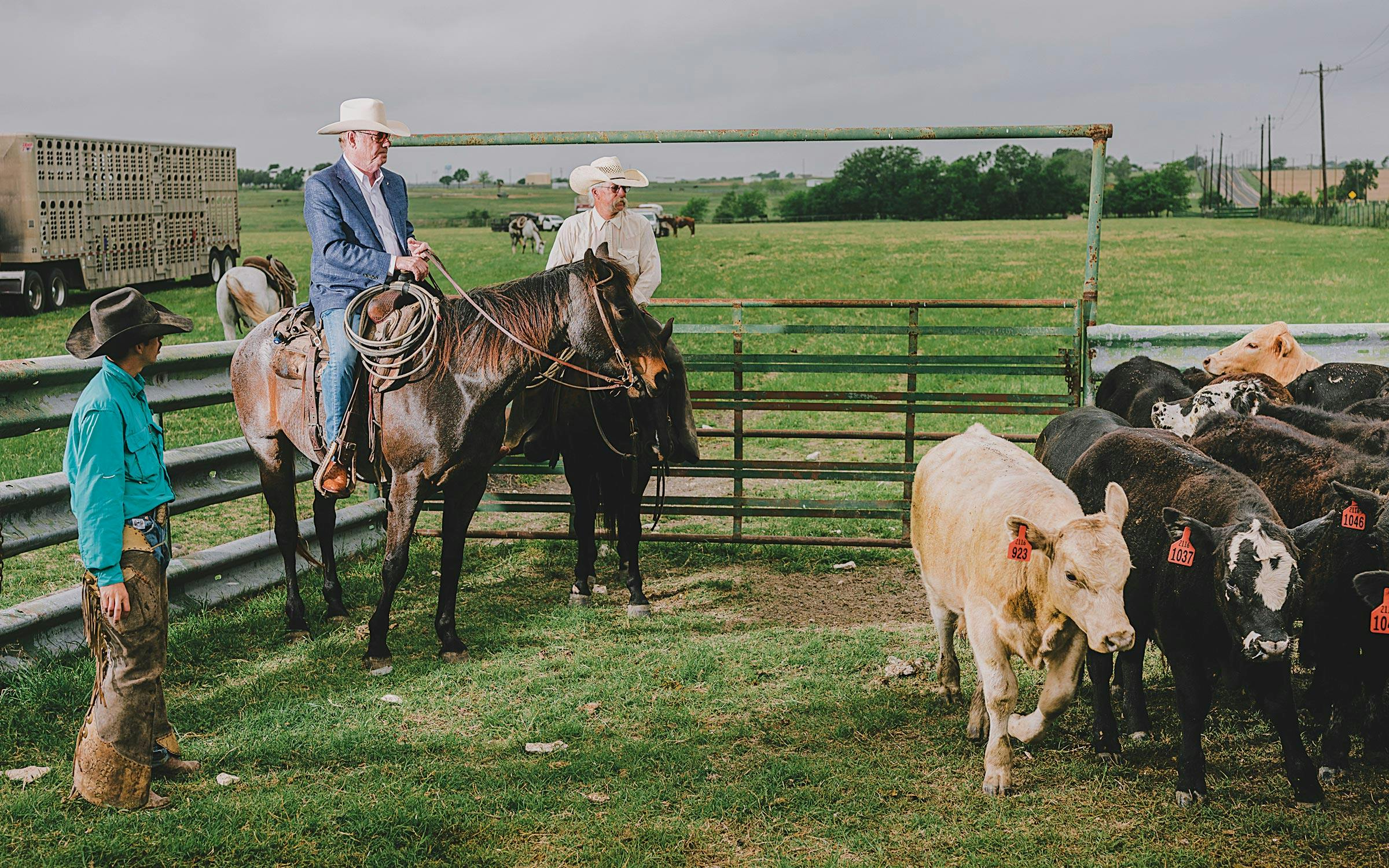 Beef sales remain strong despite pandemic issues - Texas Farm Bureau