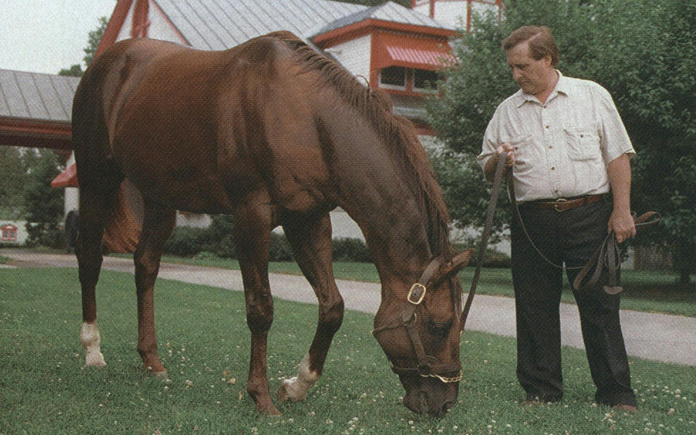 The Killing of Alydar – Texas Monthly