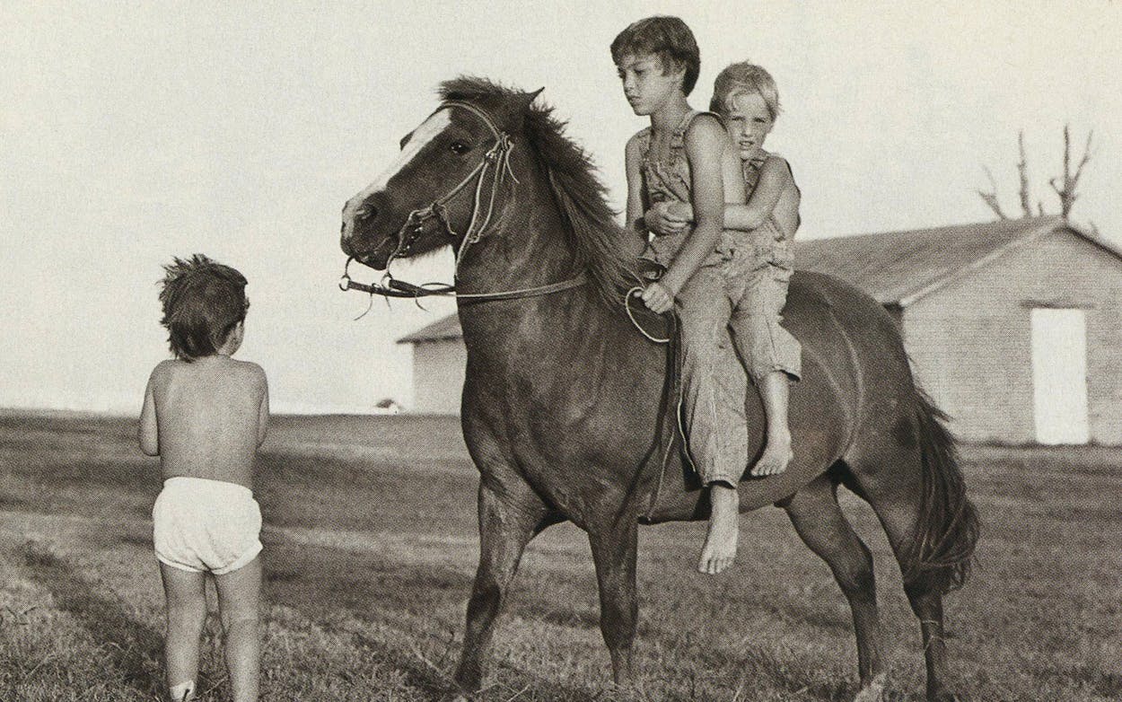 Luke, Andrew, and Owen Wilson riding a horse.