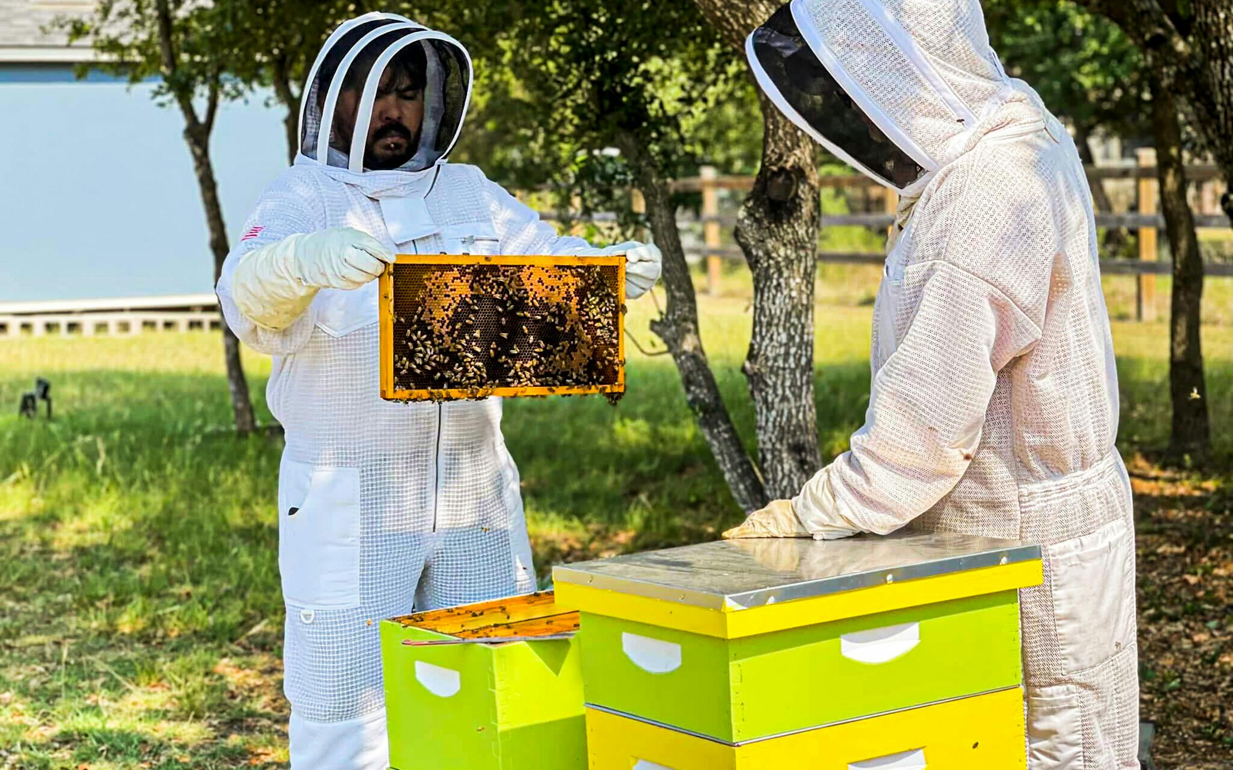 Beekeeper Studio - Reviews, Pros & Cons