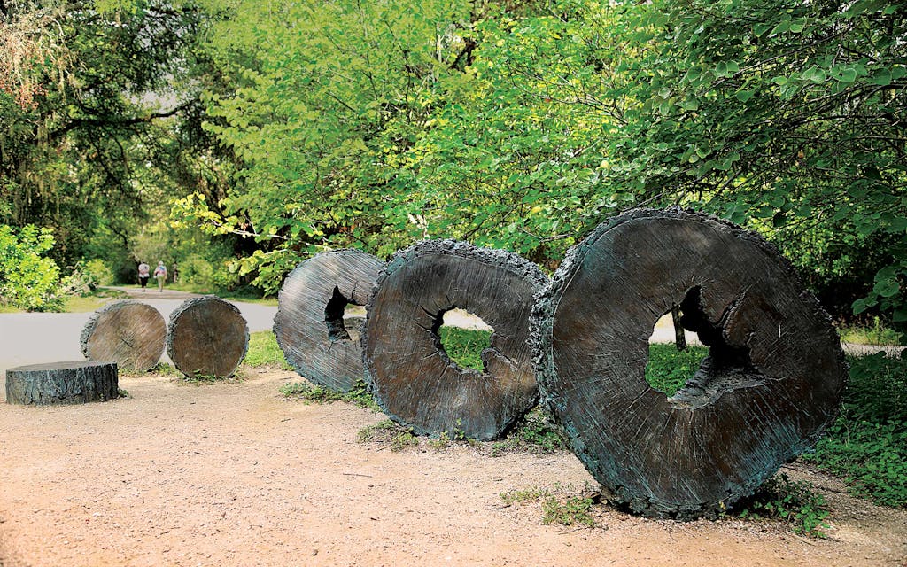 Glorieta (Anne Wallace, 2006), a sculpture of bronze and natural tree trunk slices, at Brackenridge Park.