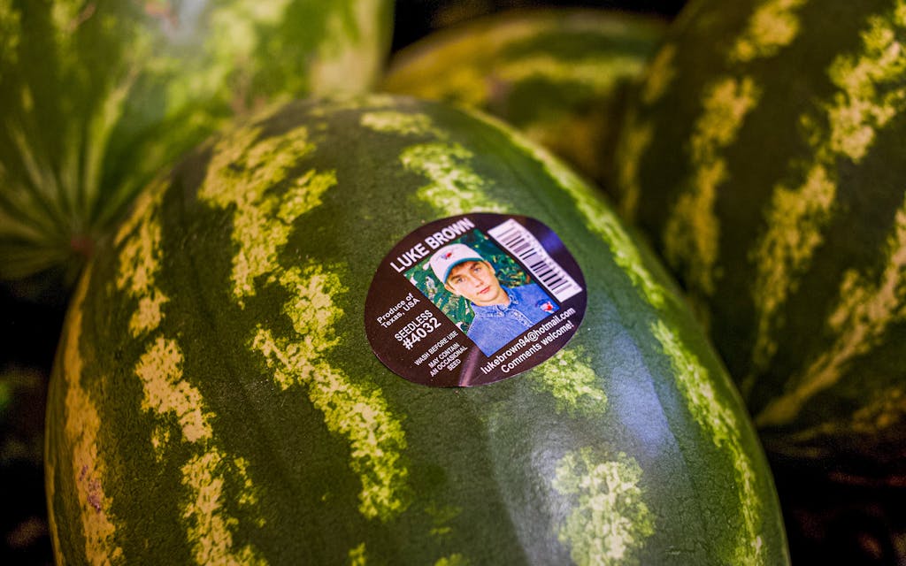 Watermelon-King-Balmorhea-Luke-Brown-sticker