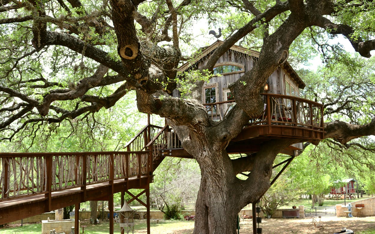 The treehouse dining room at the Laurel Tree.