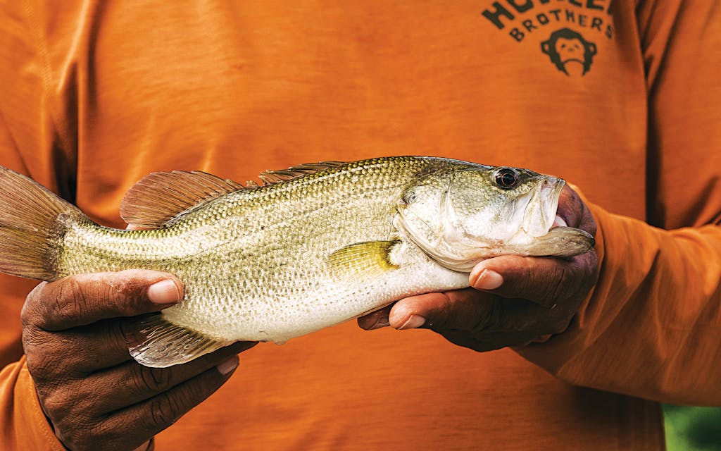 How Punk-Rock Musician Alvin Dedeaux Redefined Texas Fly-fishing