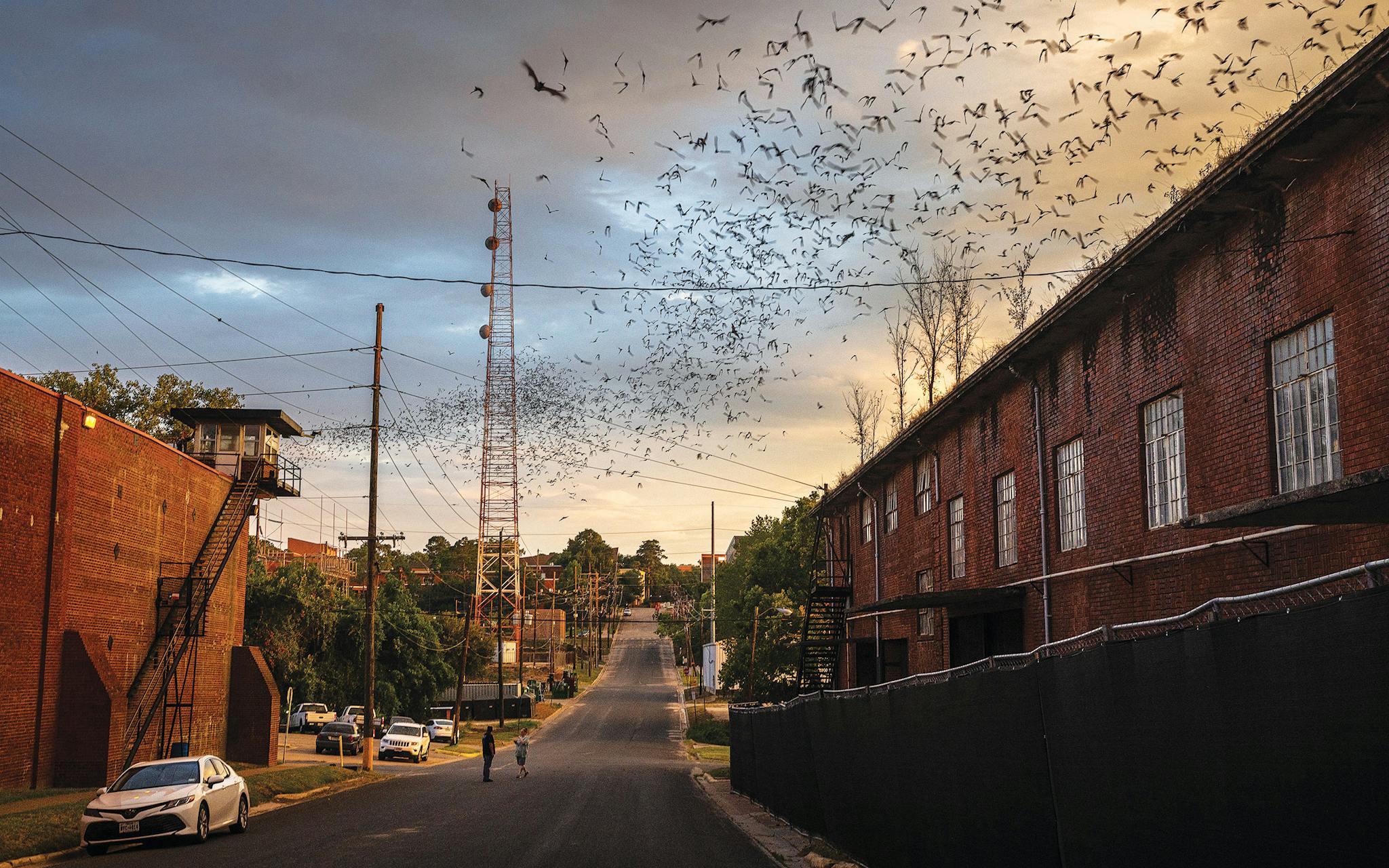 A colony of Mexican free-tailed bats emerge from an abandoned former cotton warehouse owned by the Texas Department of Criminal Justice across from the Huntsville Unit on August 11, 2022.