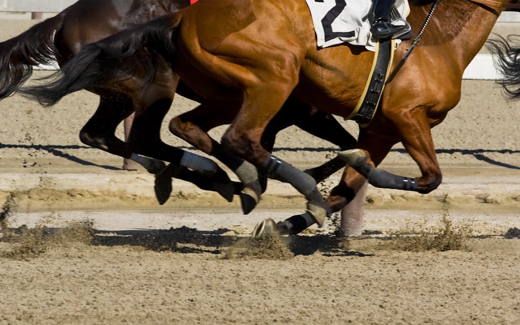 Two thoroughbred brown horses racing on a track.