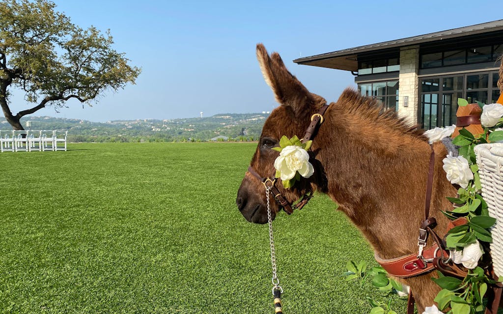 Does Your Wedding Even Count If You Don't Have a Beer Donkey?