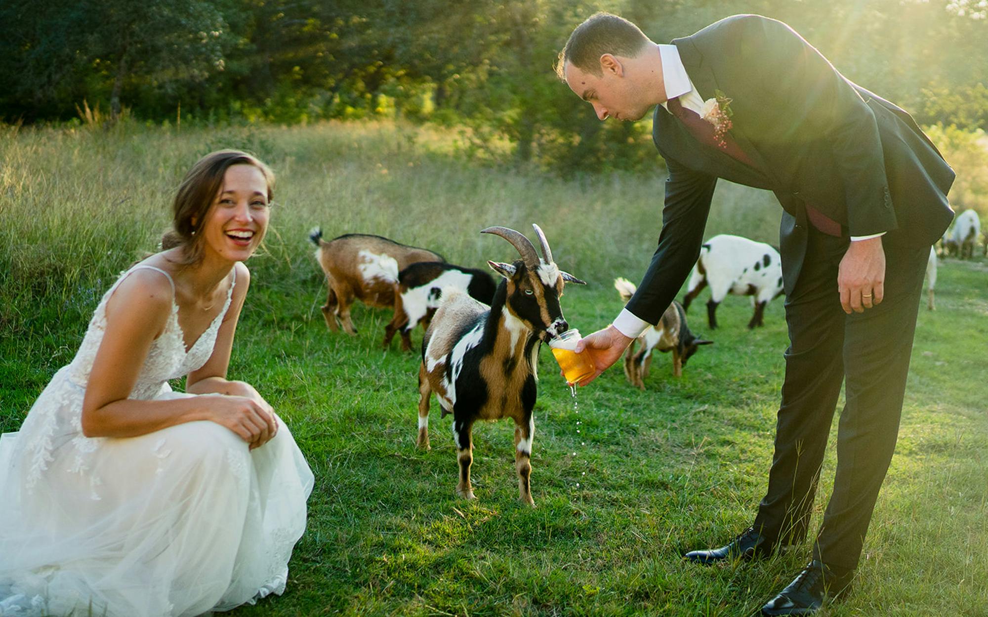 Married Rabbit Animal Wedding
