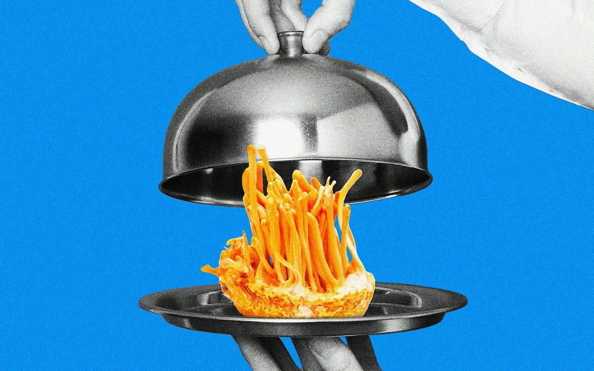 Nick Rallo Where to Try Cordyceps Fungi in Texas – Texas Monthly