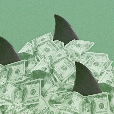 Attack of the Loan Sharks, Texas Lege Edition