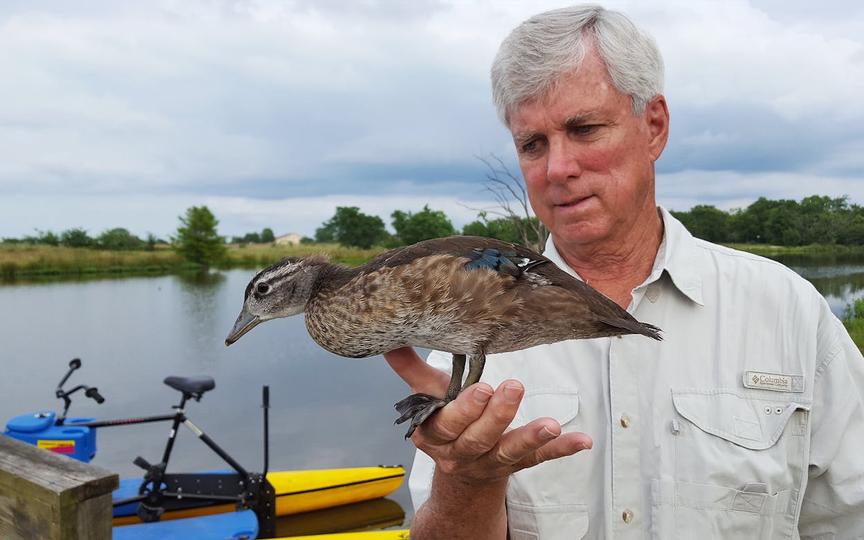 Bob McFarland with a baby wood duck.