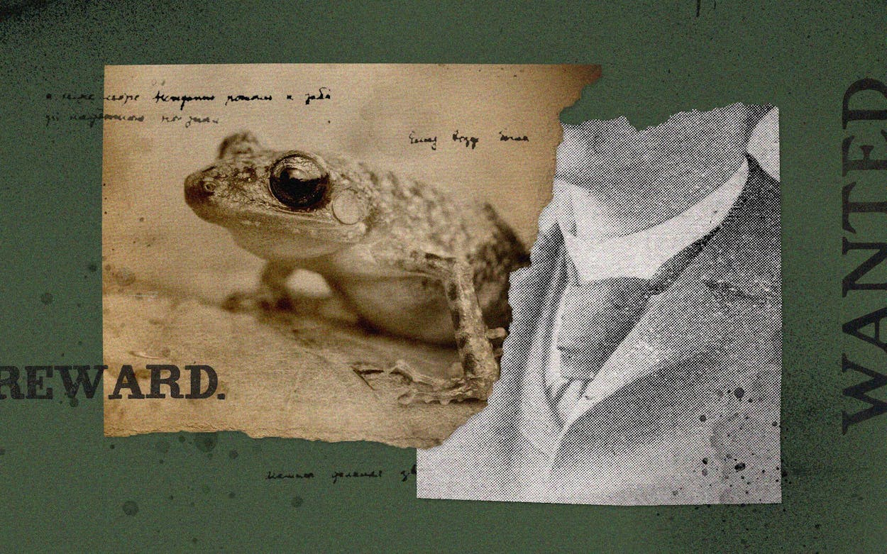 The Sinister History Behind Texas' Cliff Chirping Frog