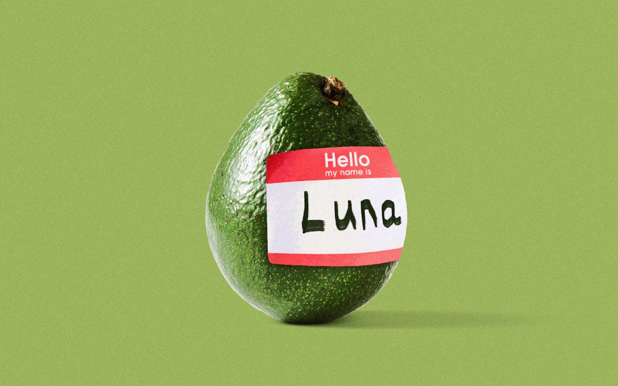 New avocado just dropped. Meet Luna.