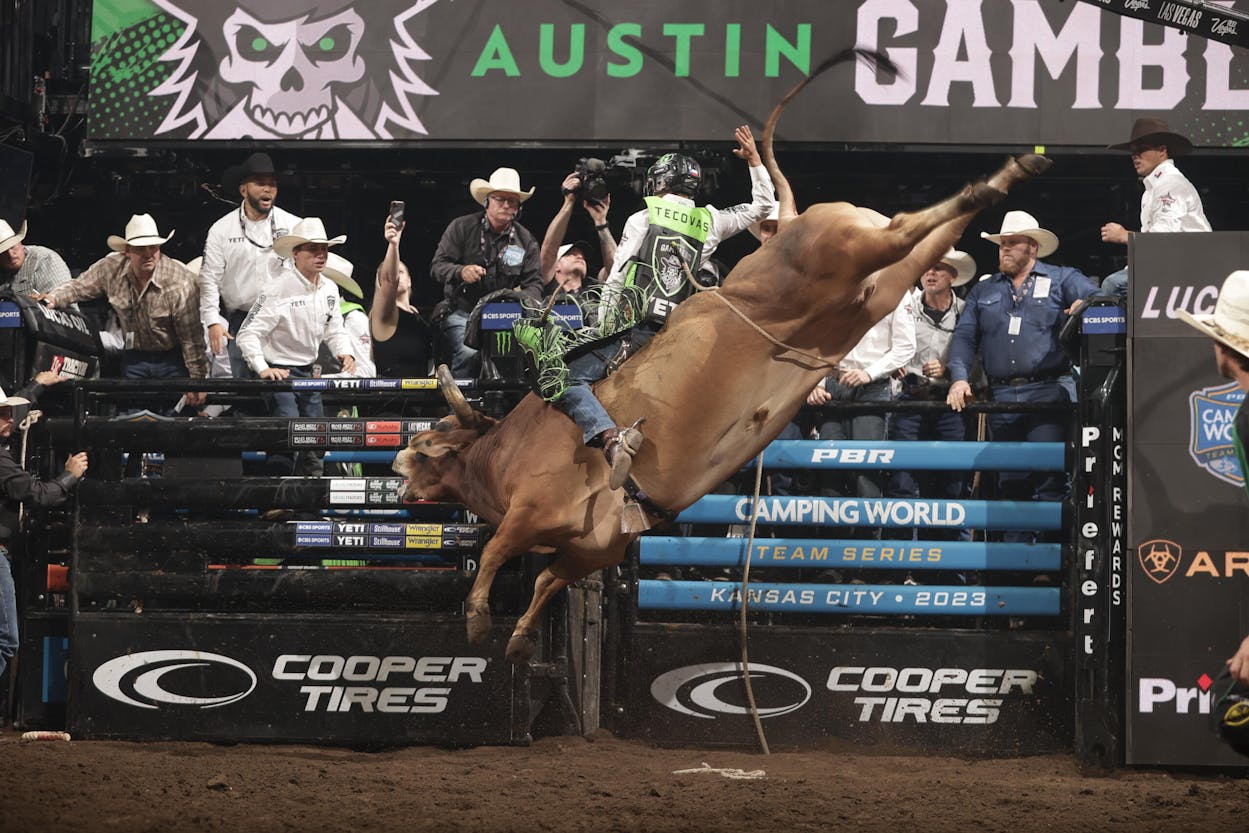 PBR Marks One Year Since Leading Sports World Back to Competition