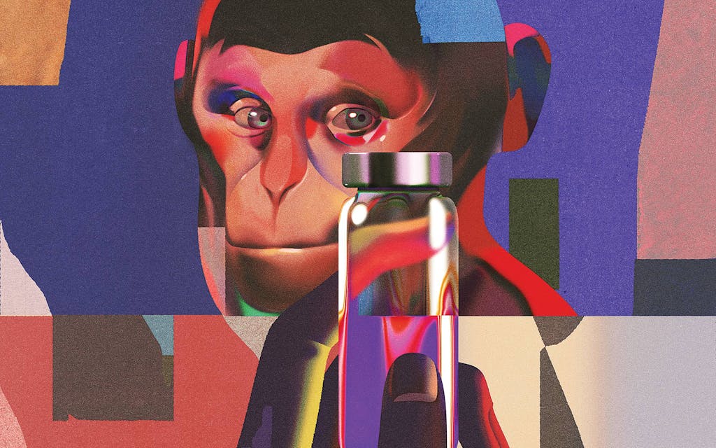 Primate-Medical-Testing-Texas-Biomedical-San-Antonio-Rhesus-Macaques-feat