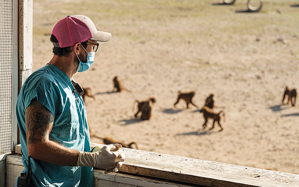 A Texas Biomed staffer looks out over the institute’s six-acre baboon corral.