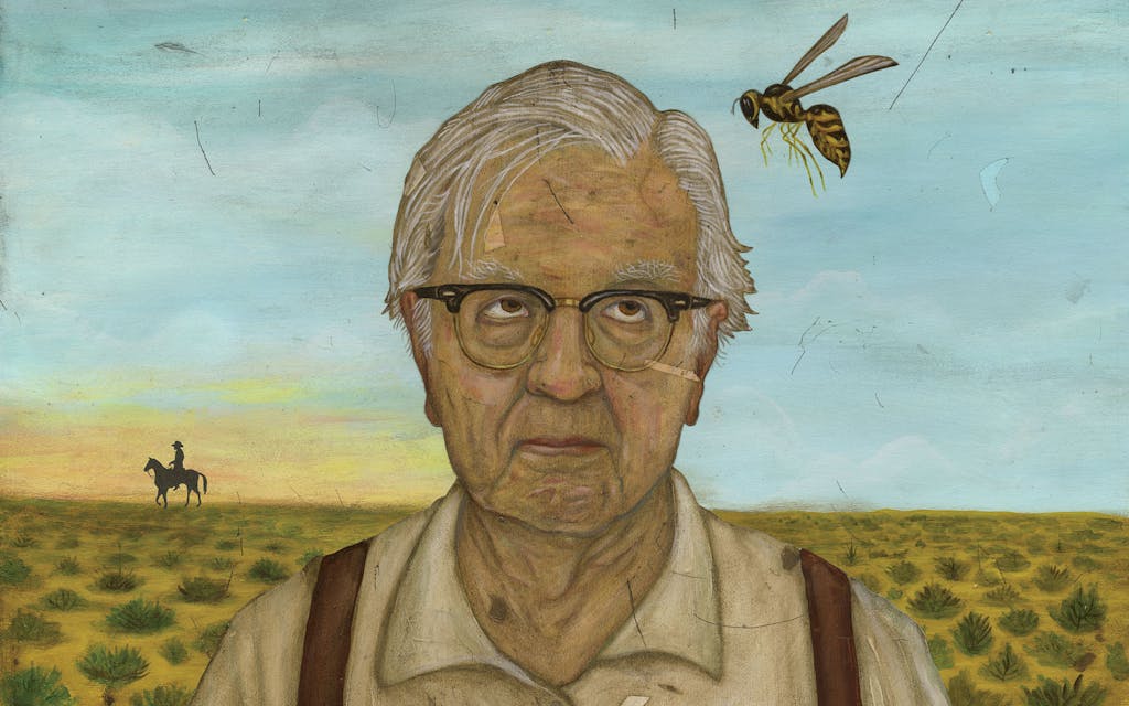 Larry McMurtry biography