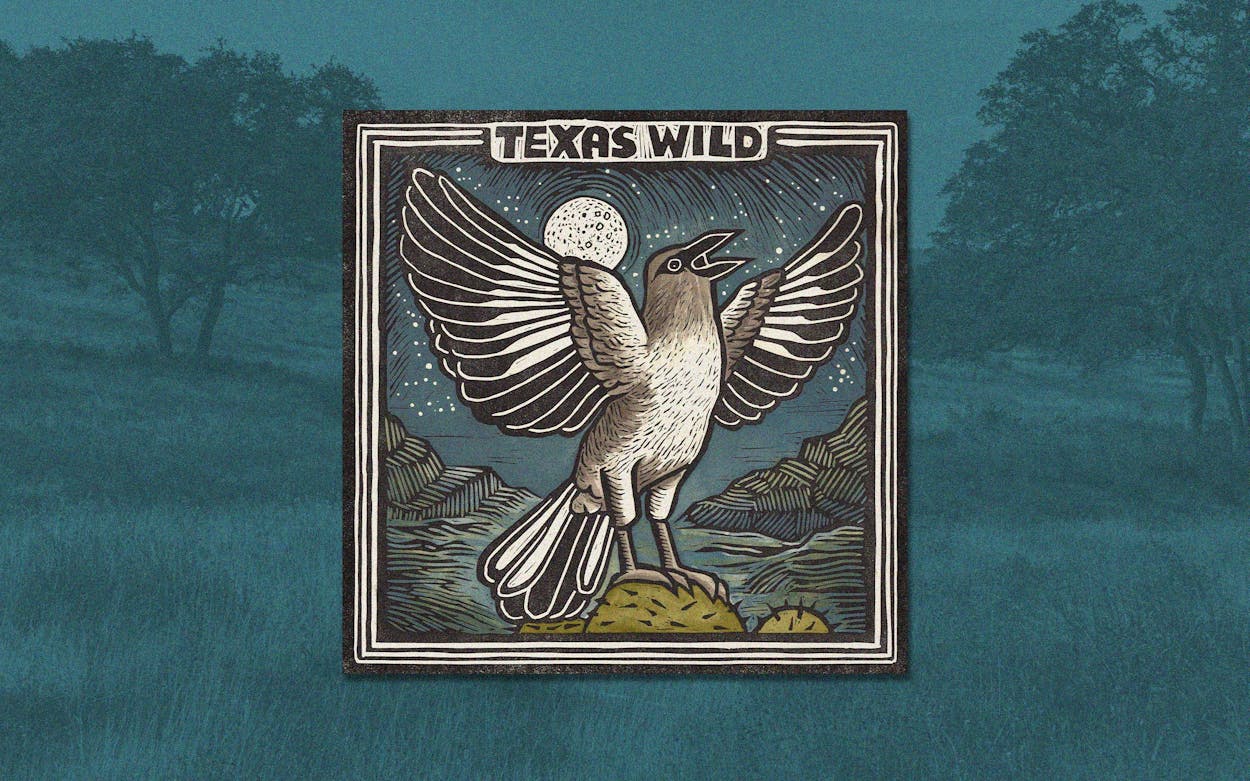 Did the Texas Parks and Wildlife Department Just Create One of the Best Albums of 2023?
