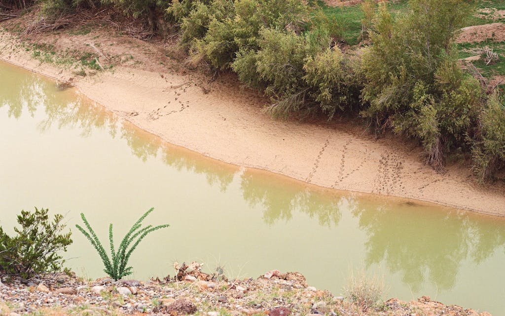Livestock tracks in banks of the Rio Grande River in Big Bend National Park on November 11, 2023.